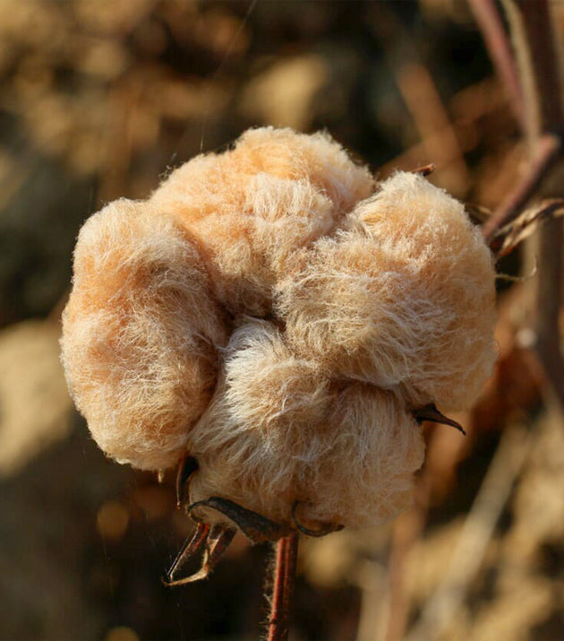 Rede de Descanso Mescla Natural VDA Reta