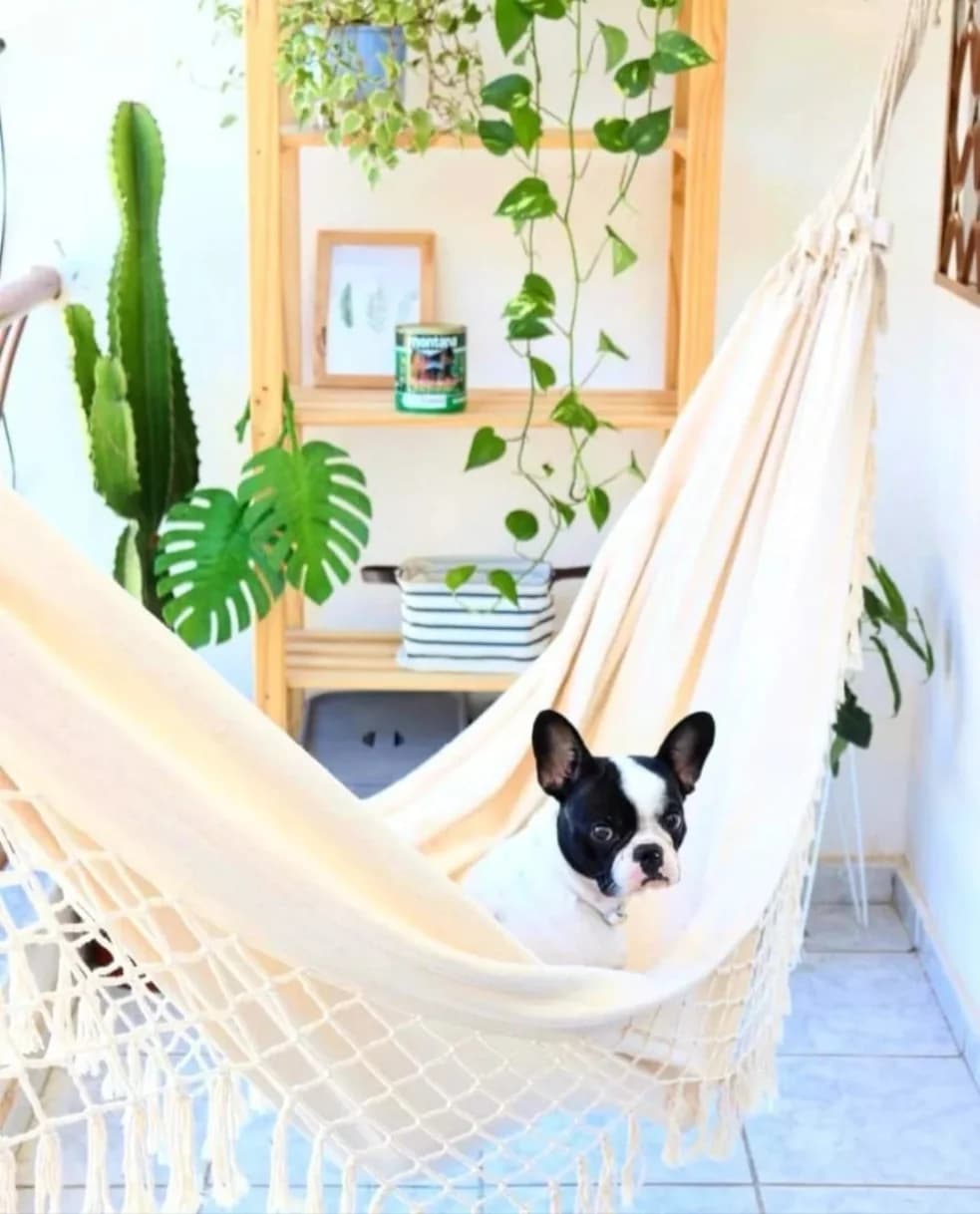 Rede Casal Tradicional